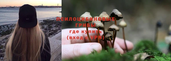винт Алексин