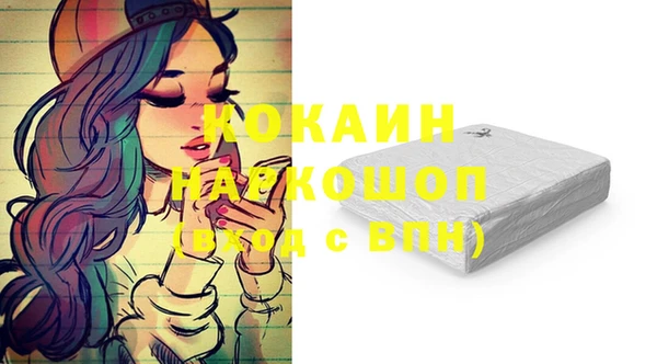 МДПВ Алзамай