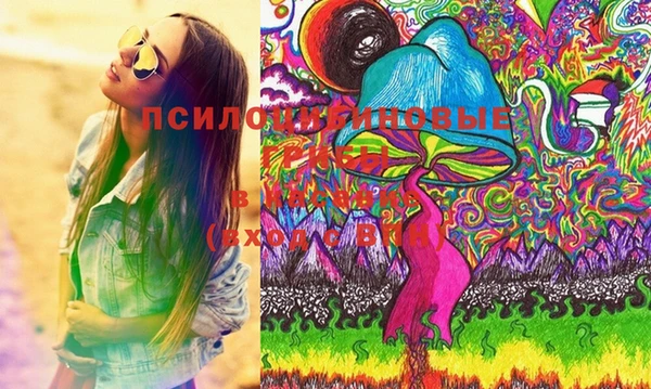 МДПВ Алзамай